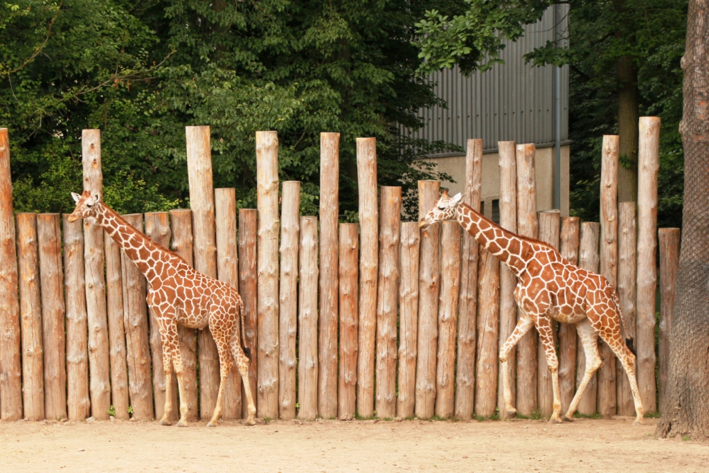 ZOO BRNO