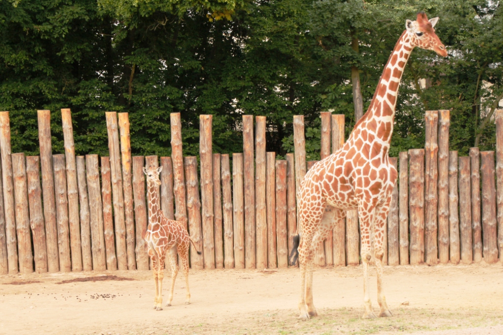 ZOO BRNO