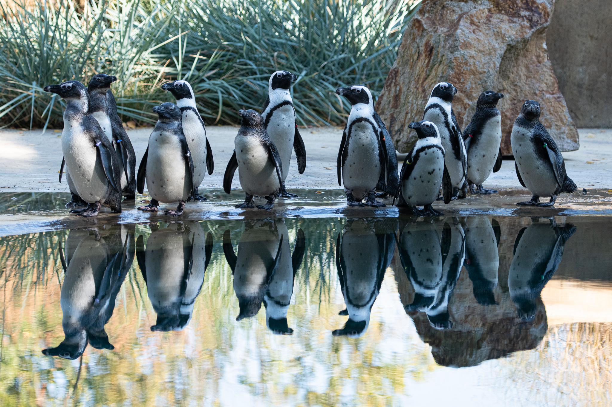 ZOO ST NAD LABEM