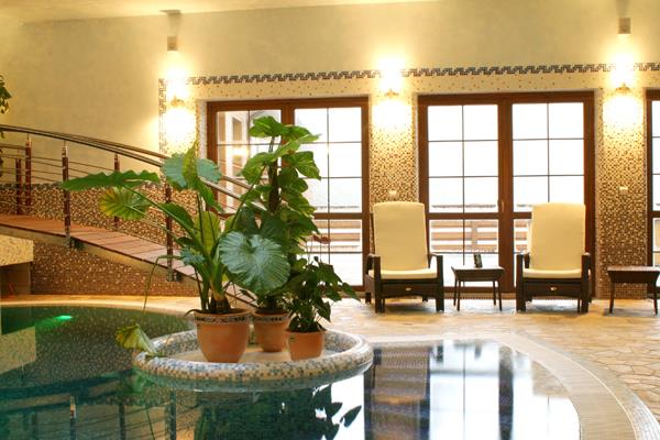 Baz�n hotelu Troyer