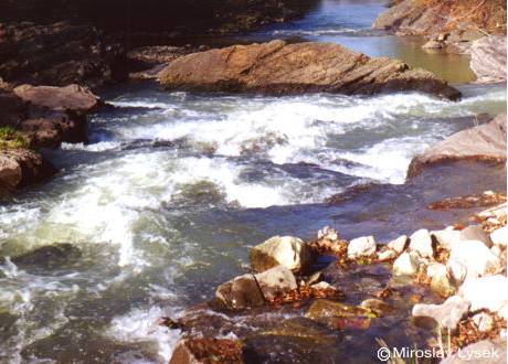 PP KORYTO EKY OSTRAVICE