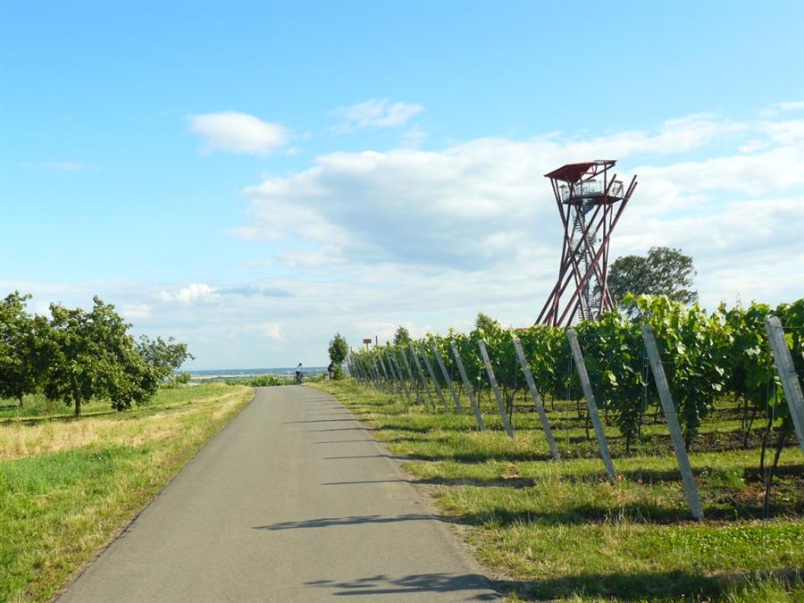  Rozhledna Slunen Velk Pavlovice